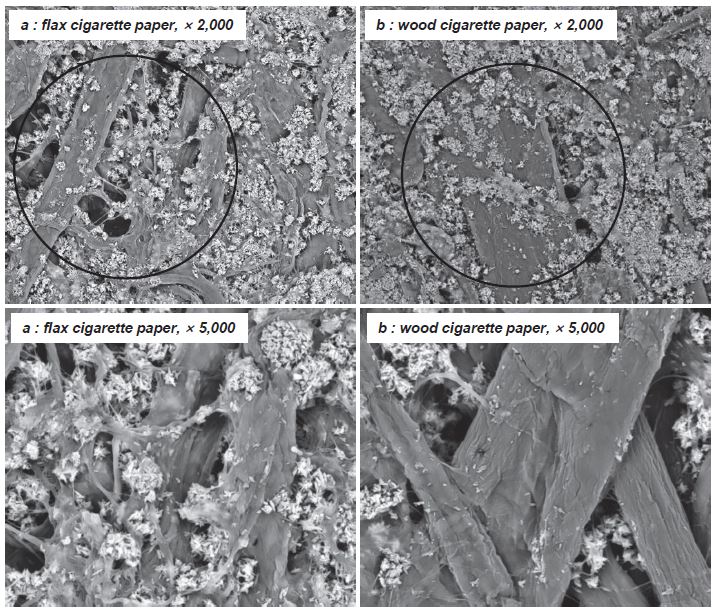 Effects of Fiber Composition of Cigarette Papers on the Pyrolytic Chemicals  of Cigarettes by Combusting Process