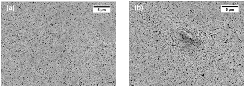 Properties of Coated Paper Containing Cellulose Nanofibrils as an Additive